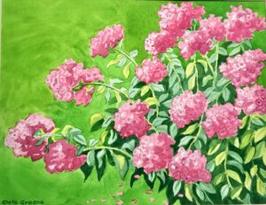 Pink hydrangea painting with green background