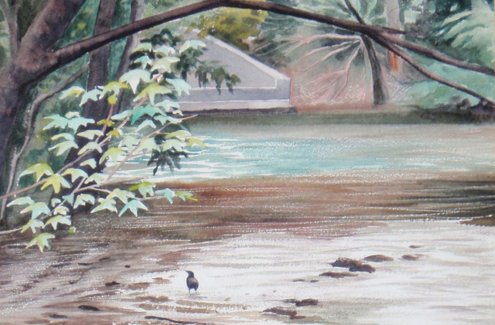 A bird by the water with trees overhead.